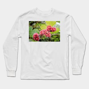 Fuzzy Sumac Berries Long Sleeve T-Shirt